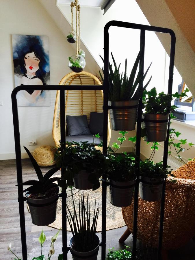 Happy Bentveld Guesthouse Ngoại thất bức ảnh