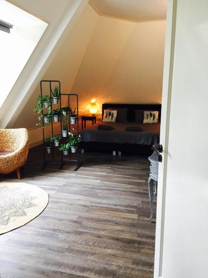 Happy Bentveld Guesthouse Ngoại thất bức ảnh